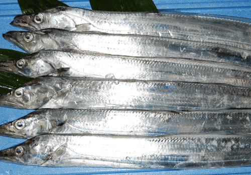 Tachio Surimi Blocks